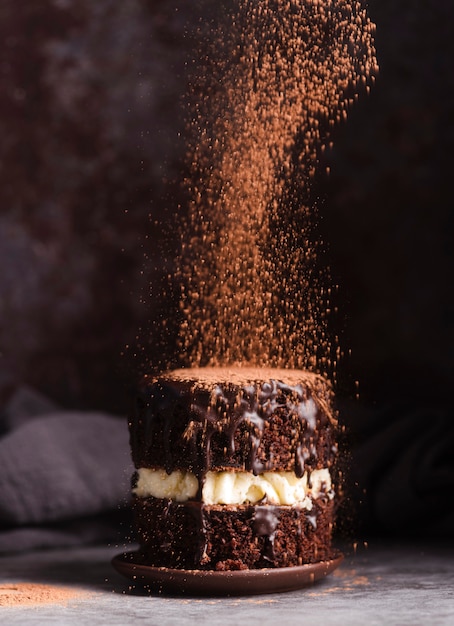 Vista frontale del dolce con cacao in polvere setacciato in cima