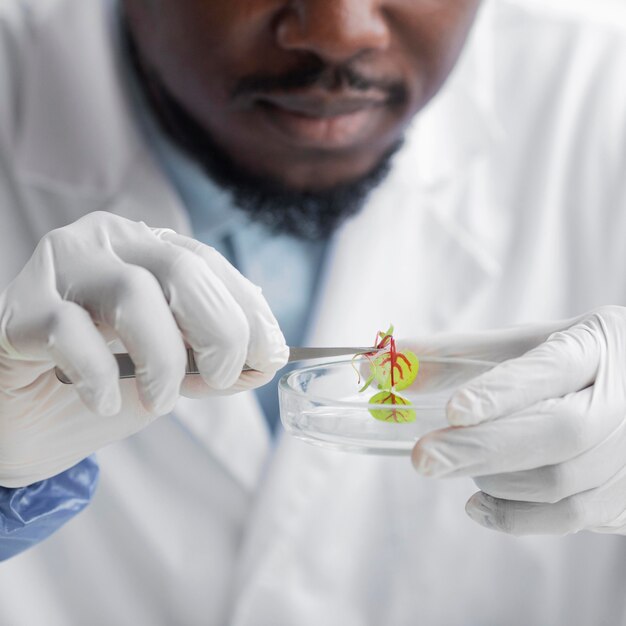 Vista frontale del ricercatore maschio nel laboratorio di biotecnologie con capsula di Petri