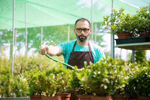 Vista frontale dell'uomo che innaffia le piante in vaso dal tubo flessibile. Giardiniere concentrato di mezza età in grembiule e occhiali da vista che lavora in serra e coltiva fiori. Attività di giardinaggio commerciale e concetto estivo