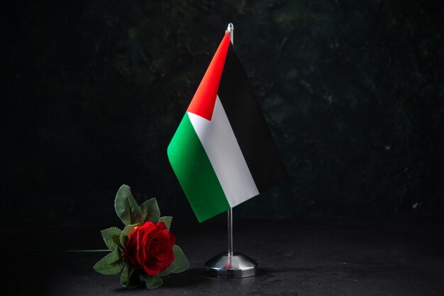 Vista frontale della bandiera della Palestina con fiore rosso su fondo nero