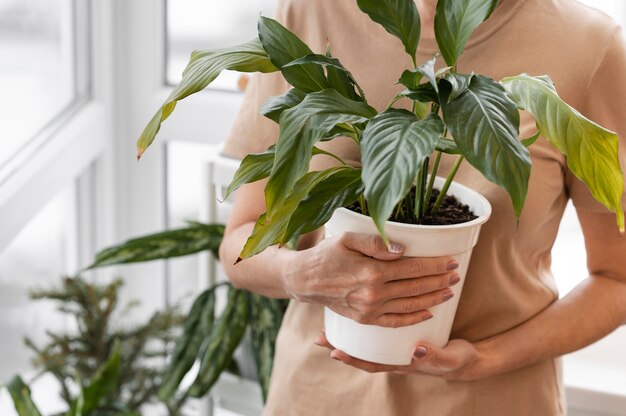 Vista frontale della donna che tiene il vaso della pianta d'appartamento