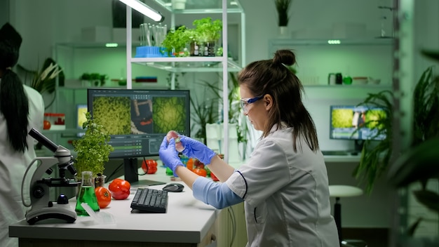 Vista frontale della ricercatrice che analizza la capsula di Petri con carne vegana che digita competenze biologiche sul computer