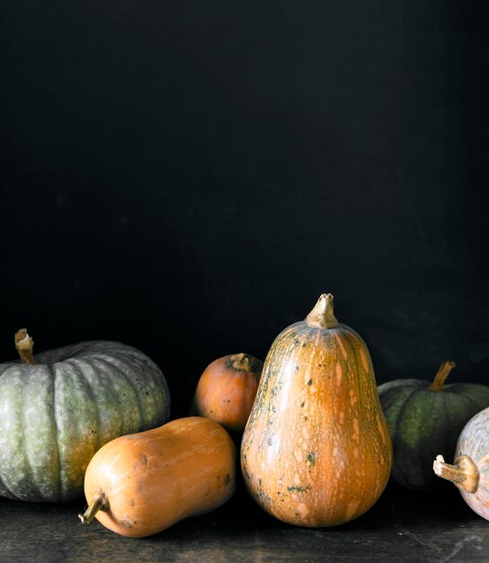 Vista frontale della zucca di autunno con lo spazio della copia