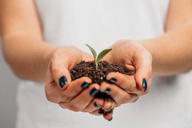 Vista frontale delle mani femminili che tengono terreno e piccola pianta