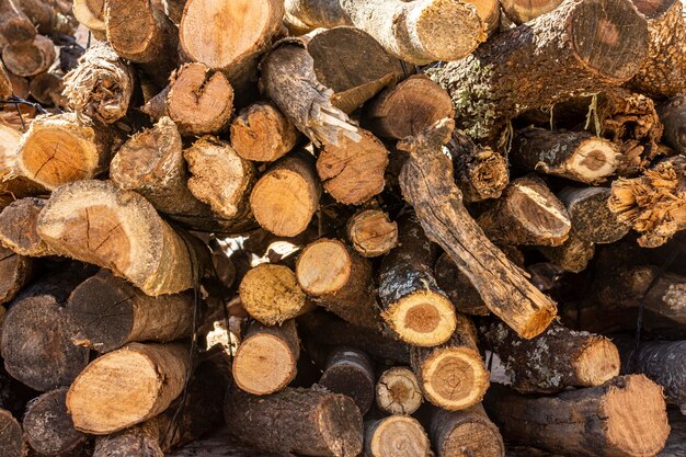 Vista frontale di tronchi e rami di legno tagliati