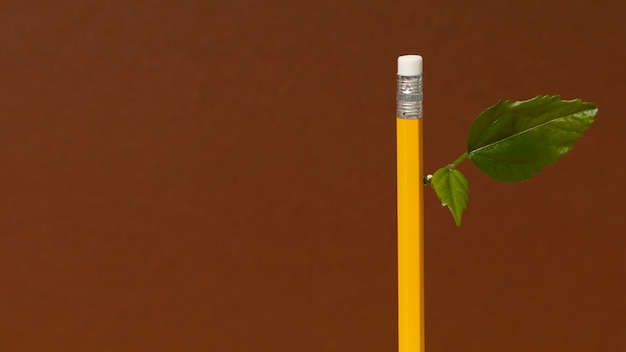 Vista frontale di una pianta che cresce da una matita