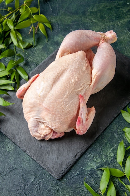 Vista frontale pollo crudo fresco su pasto grigio carne animale foto cucina cibo pollo