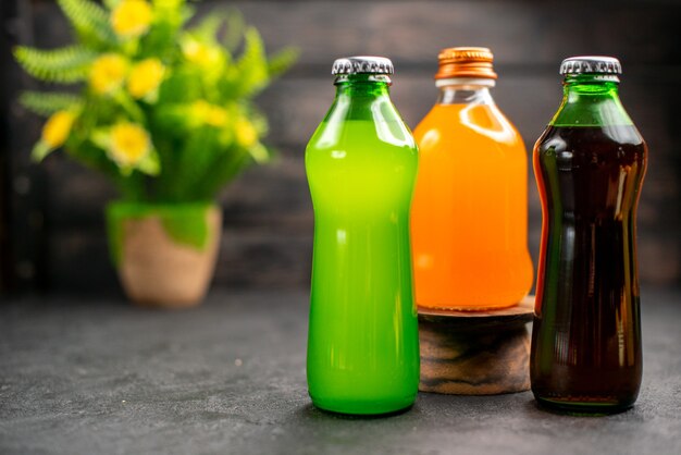 Vista frontale succhi di frutta colorati e pianta in vaso di limonate