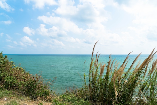 Vista generale dell&#39;isola tropicale dal mare