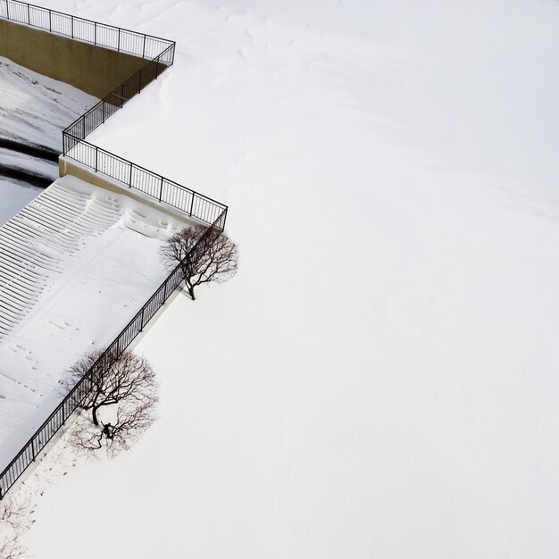 Vista ingrandita di un affascinante scenario invernale con un paio di alberi e la neve bianca cristallina