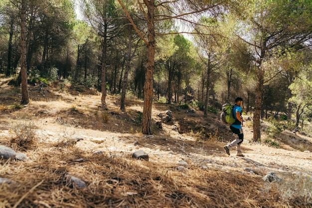 Vista laterale dell&#39;escursionista che cammina nella foresta