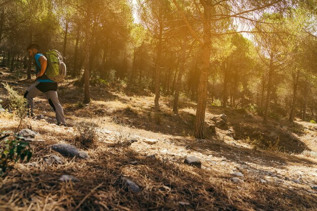 Vista laterale dell&#39;escursionista con zaino nella foresta