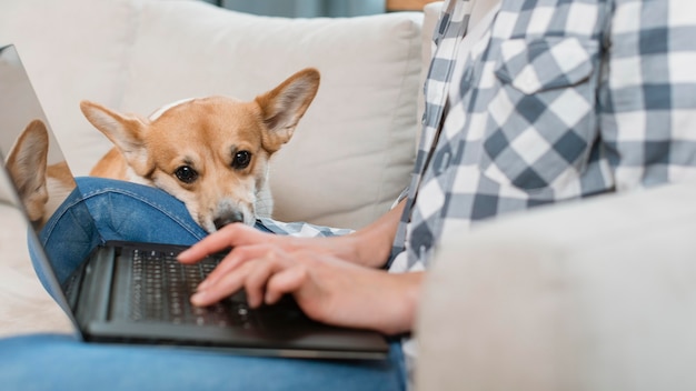 Vista laterale della donna che lavora al computer portatile con il suo cane