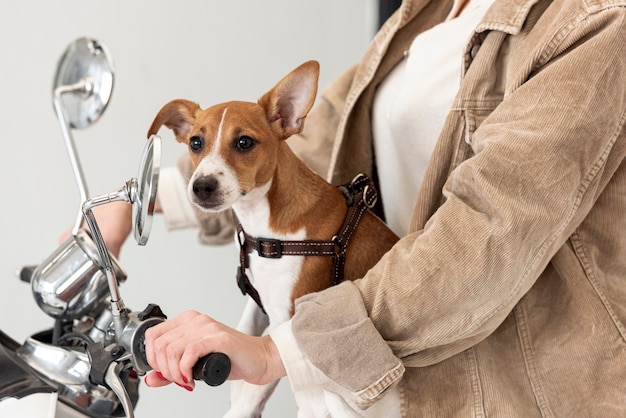 Vista laterale della donna su scooter con il suo cane