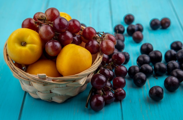 Vista laterale della frutta come nettacotiledoni e uva nel carrello e su sfondo blu