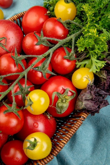 Vista laterale delle verdure come merce nel carrello del basilico del coriandolo dei pomodori sul panno blu