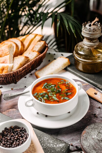 Vista laterale di borscht di verdure russo tradizionale in una ciotola bianca