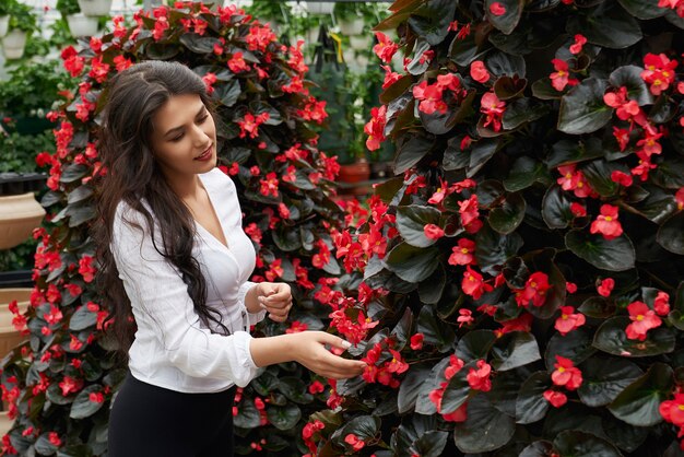 Vista laterale di giovane donna castana attraente che gode della bellezza e odora i bei fiori rossi in serra moderna. Concetto di cura dei fiori e preparazione alla vendita.