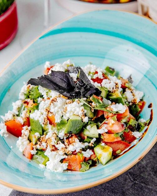 Vista laterale di insalata fresca con i pomodori cetrioli formaggio e basilico 4