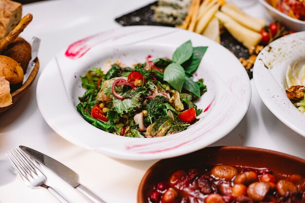 Vista laterale di insalata fresca con lattuga pomodori ciliegia affettato ravanello e melograno e salsa al limone in un piatto bianco