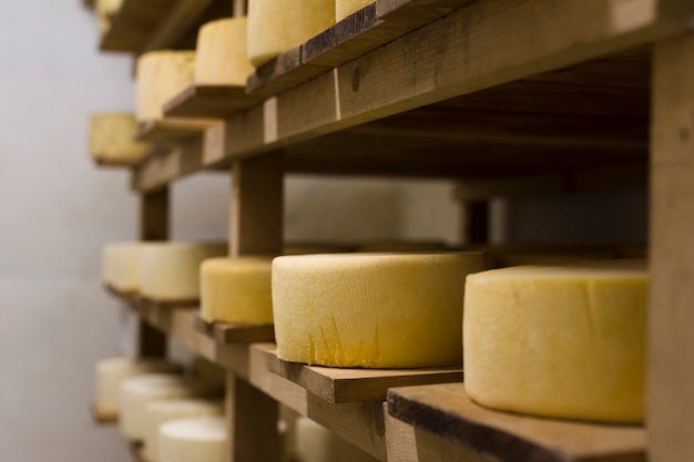 Vista laterale diversi rotoli di formaggio al chiuso