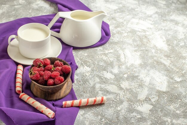 Vista laterale ravvicinata di una tazza di latte e una brocca di latte su un tovagliolo viola con una ciotola di lamponi e biscotti su uno sfondo di marmo