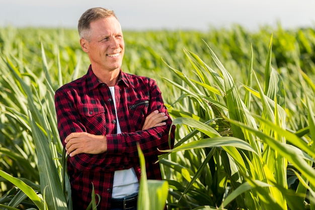 Vista media uomo in un campo di grano