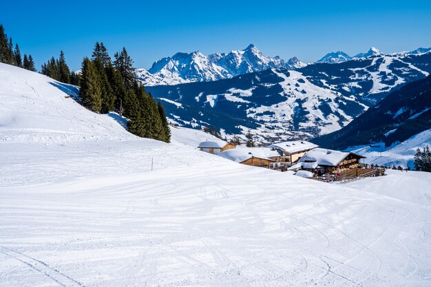 Vista mozzafiato delle montagne boscose coperte di neve durante il giorno