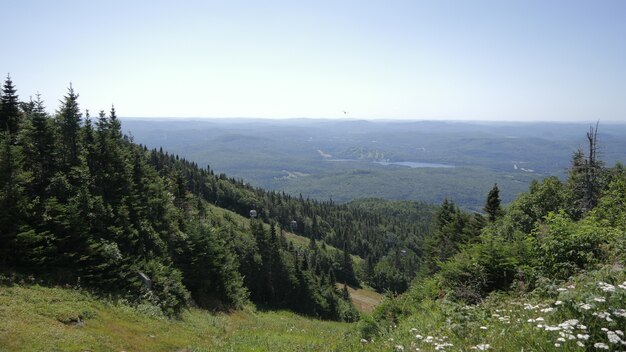 Vista mozzafiato delle montagne coperte di alberi nel Parco Nazionale di Mont Tremblant a Lac Lajoie, Canada