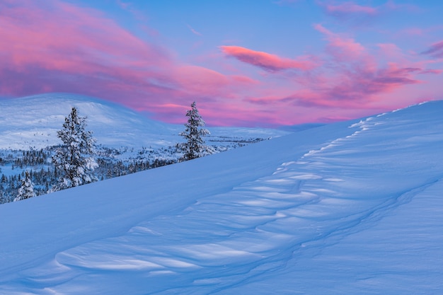 Vista mozzafiato di una foresta coperta di neve durante il tramonto in Norvegia