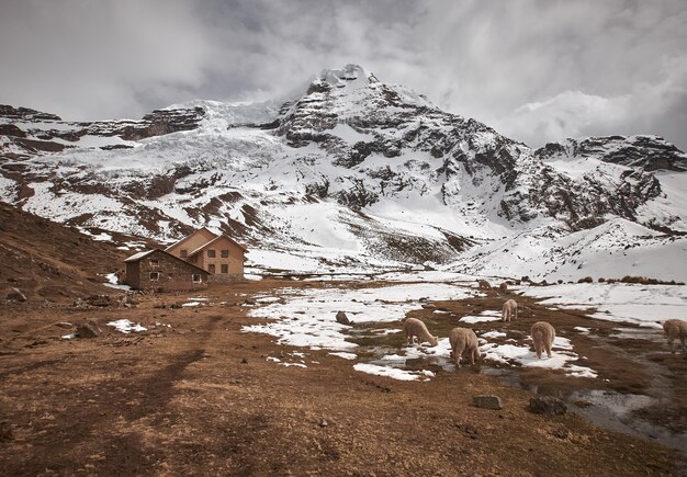 Vista mozzafiato sulla bellissima montagna innevata Ausangate in Perù