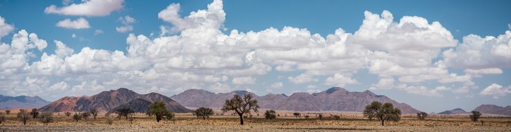 Foto gratuito vista panoramica del deserto del namib in namibia