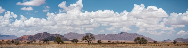 Vista panoramica del deserto del Namib in Namibia