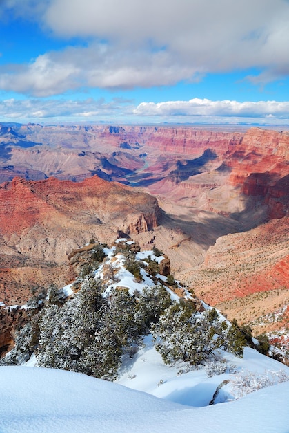 Vista panoramica del Grand Canyon in inverno con neve