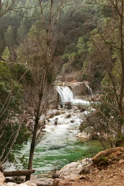 Vista panoramica della natura