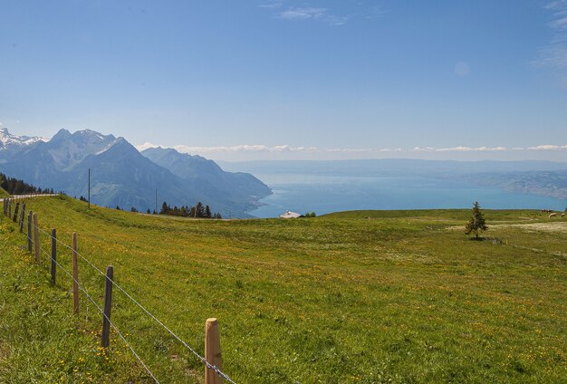 Vista panoramica di Lavaux, Svizzera con recinzione e un prato verde