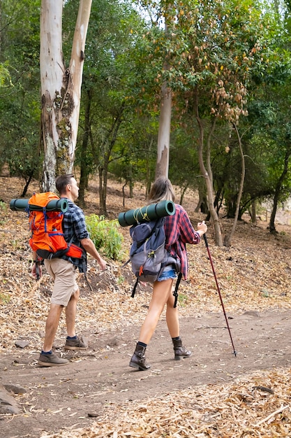 Vista posteriore dei giovani che fanno un'escursione nella foresta il giorno soleggiato. Viaggiatori e amici che camminano con gli zaini nei boschi. Palo della holding della donna. Concetto di turismo, avventura e vacanze estive con lo zaino in spalla