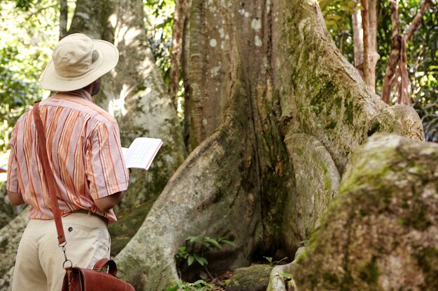 Vista posteriore del biologo maschio caucasico che indossa cappello e borsa in pelle esplorando la giungla nel paese tropicale, in piedi davanti al grande albero, tenendo il taccuino e prendendo appunti durante l'esame della pianta