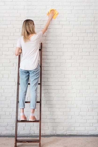 Vista posteriore del muro di mattoni di pulizia della donna su una scala