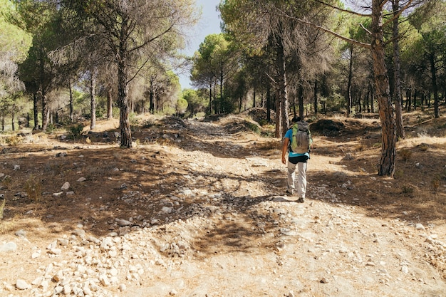 Vista posteriore dell&#39;escursionista nella foresta