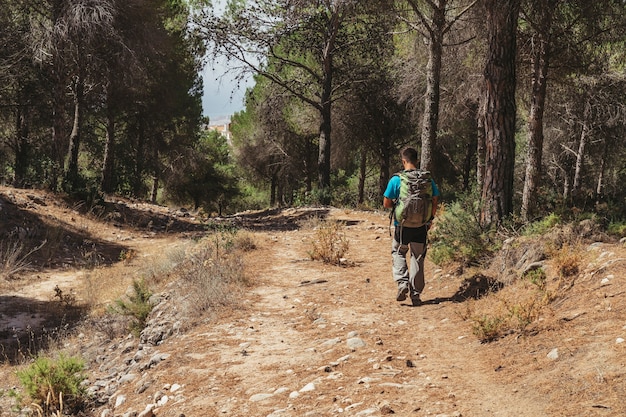 Vista posteriore dell&#39;uomo che cammina sul percorso nella foresta