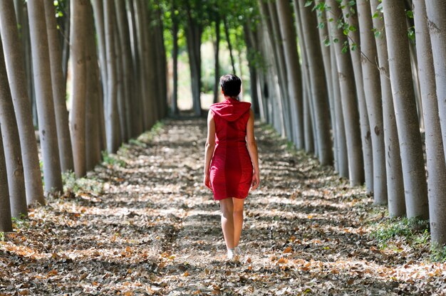 Vista posteriore della donna che cammina tra gli alberi