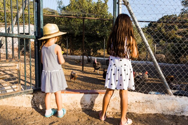 Vista posteriore di due ragazze in piedi fuori dalla fattoria di pollo