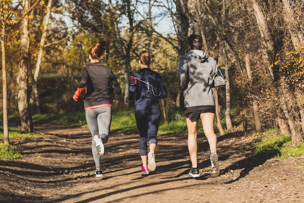 Vista posteriore di persone in esecuzione nel parco