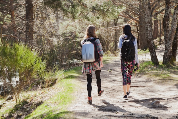 Vista posteriore di ragazze a piedi nella foresta