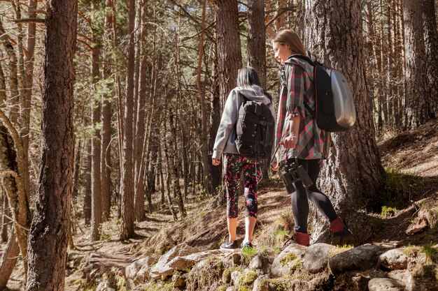 Vista posteriore di ragazze passeggiate in campagna