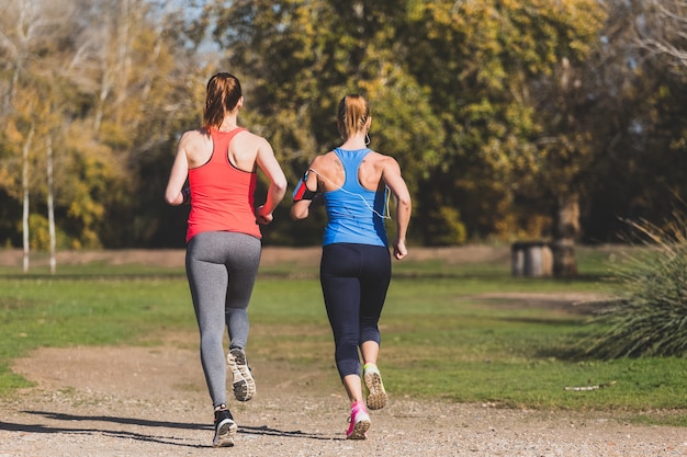 Vista posteriore di sportivi sani corsa all&#39;aperto