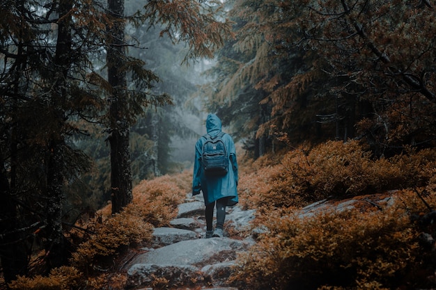 Vista posteriore di un backpacker con un impermeabile che cammina su un sentiero roccioso in una foresta autunnale