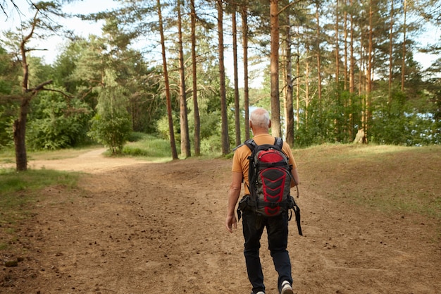 Vista posteriore di un pensionato irriconoscibile uomo anziano che trasporta zaino camminando lungo il percorso durante le escursioni nella foresta sulla soleggiata giornata autunnale. Persone, età, attività, tempo libero, ricreazione e concetto di viaggio