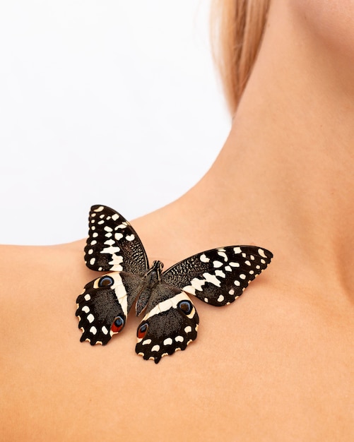 Vista ravvicinata della bellissima farfalla sulla spalla